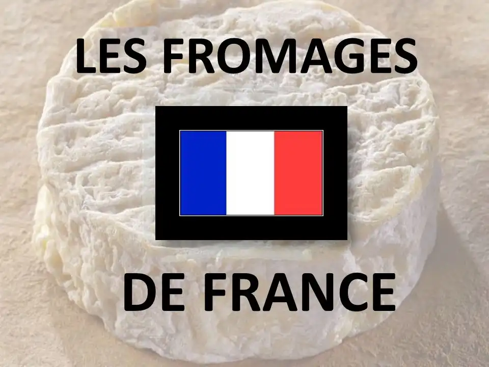 LES FROMAGES DE FRANCE